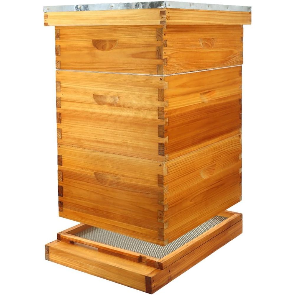 Beehive Frame Wax - Kit de ruche 10 cadres avec