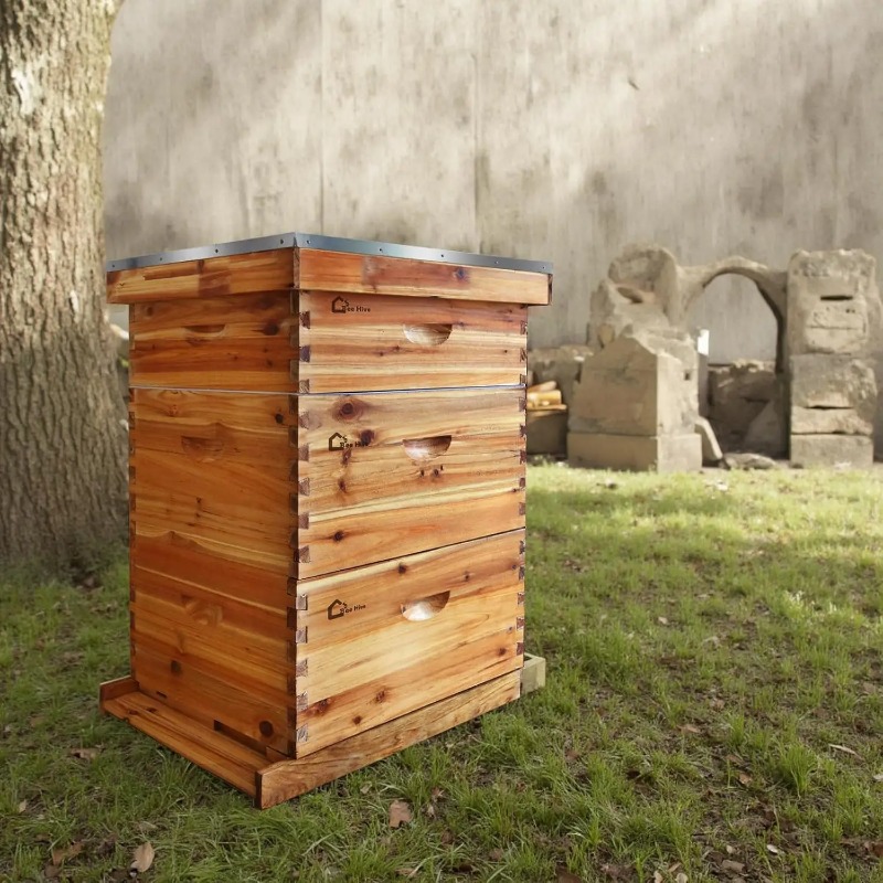 Kit complet de ruche à 10 cadr - Beehive Frame Wax avis et prix
