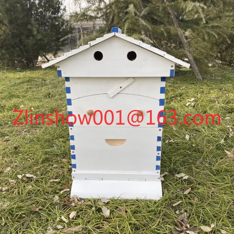 Alive automatique et 7 cadres  - Beehive Frame Wax avis et prix