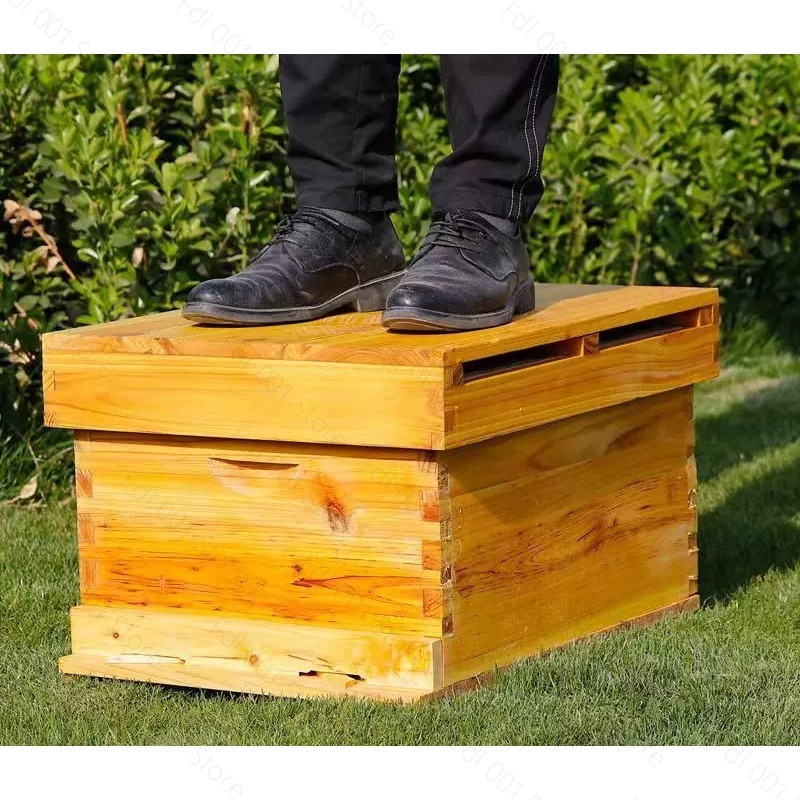 Kit complet pour apiculture av - Beehive Frame Wax avis et prix