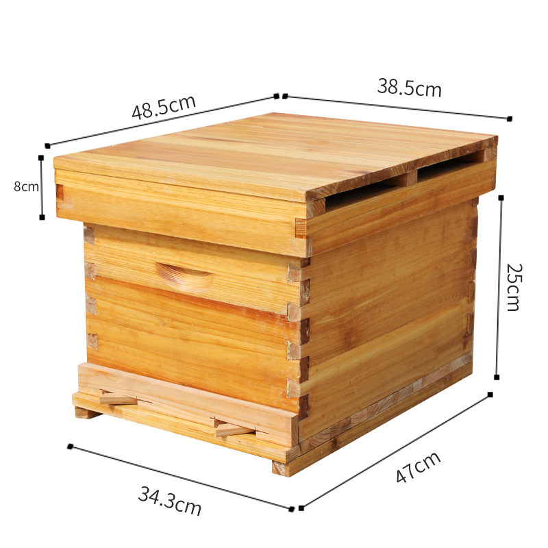Ruche complète avec tous les o - Beehive Frame Wax avis et prix